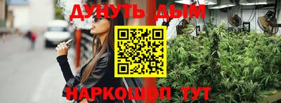 мдпв Новодвинск
