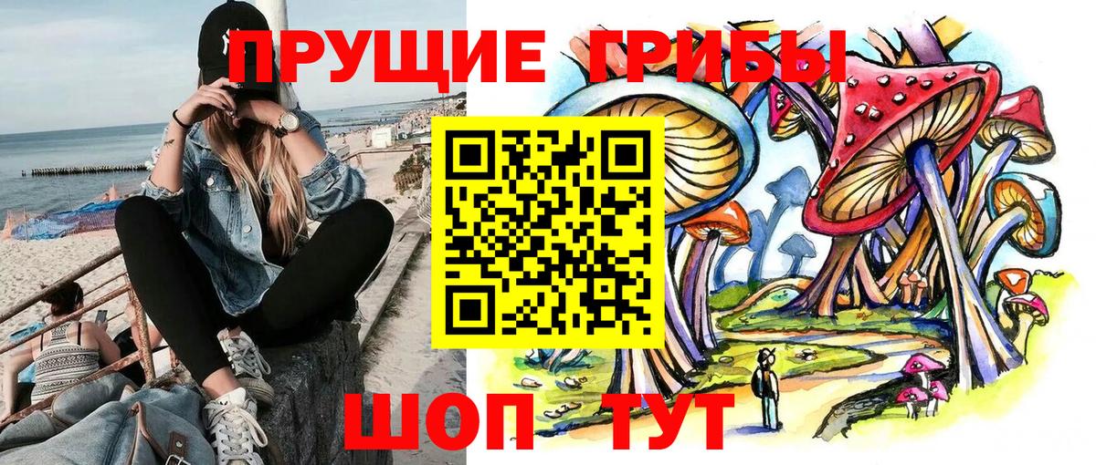 Псилоцибиновые грибы мицелий Серпухов